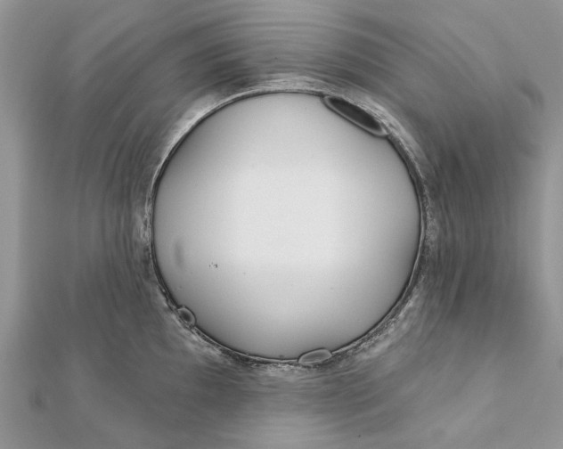 X0000112181097200908281356