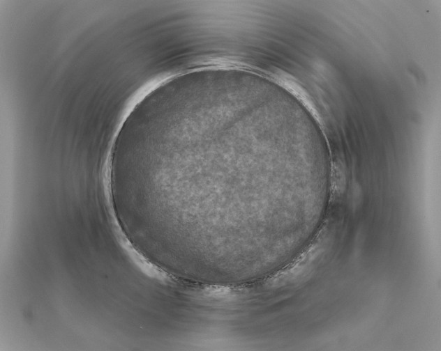 X0000112181098200908281356