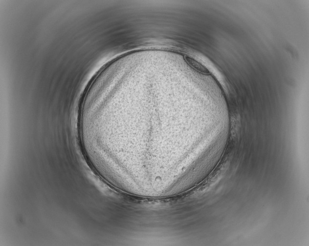 X0000112181099200908281356