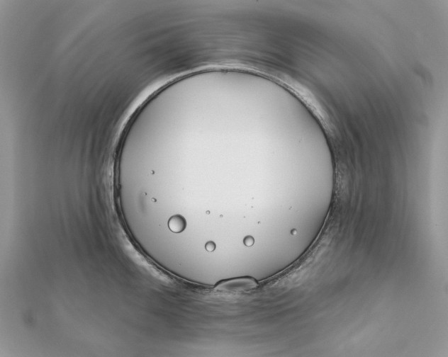 X0000112181100200908281356