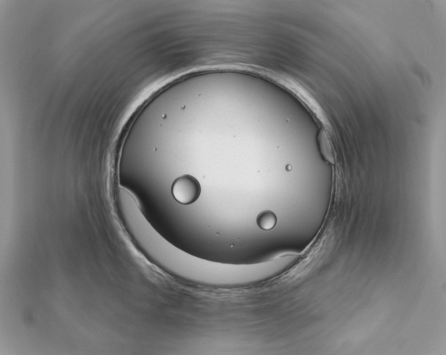 X0000112181101200908281356