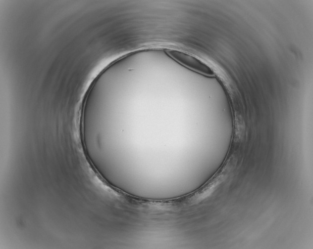 X0000112181102200908281356