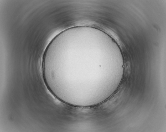 X0000112181103200908281356