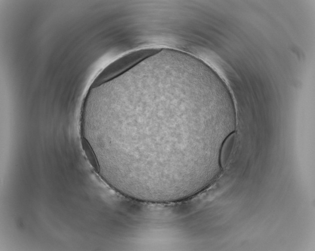 X0000112181104200908281356