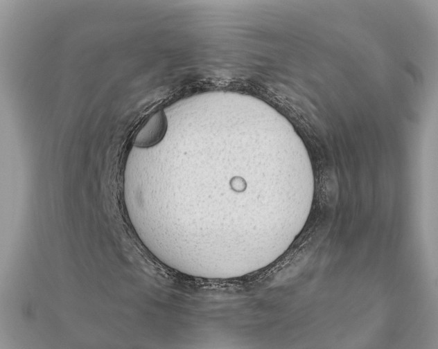 X0000112181105200908281355