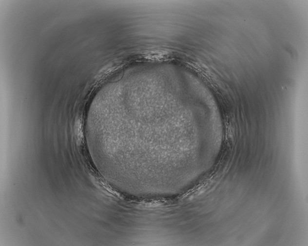 X0000112181106200908281355