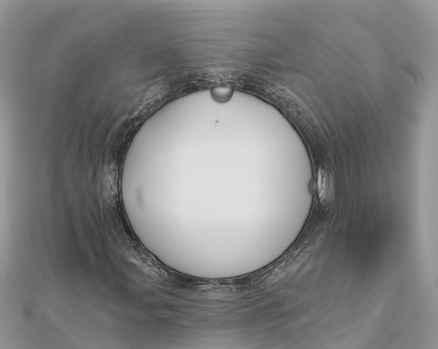 X0000112181107200908281355