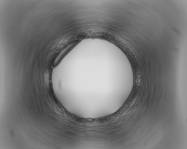 X0000112181108200908281355