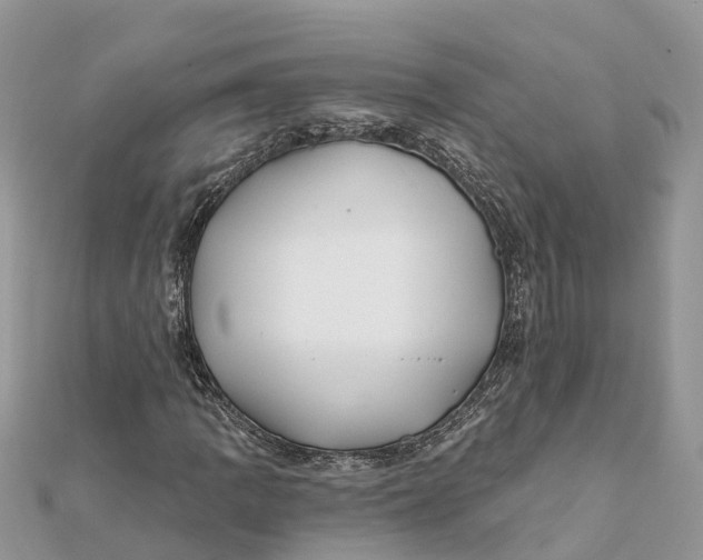 X0000112181109200908281355