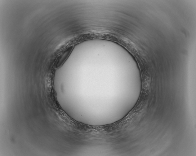 X0000112181110200908281355