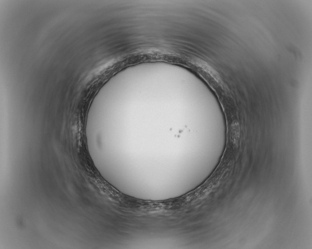 X0000112181111200908281355