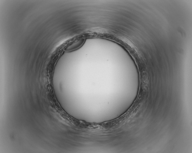 X0000112181112200908281355