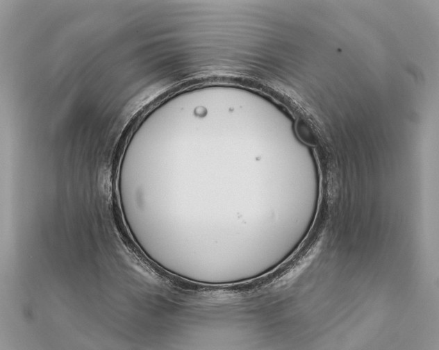 X0000112181113200908281355