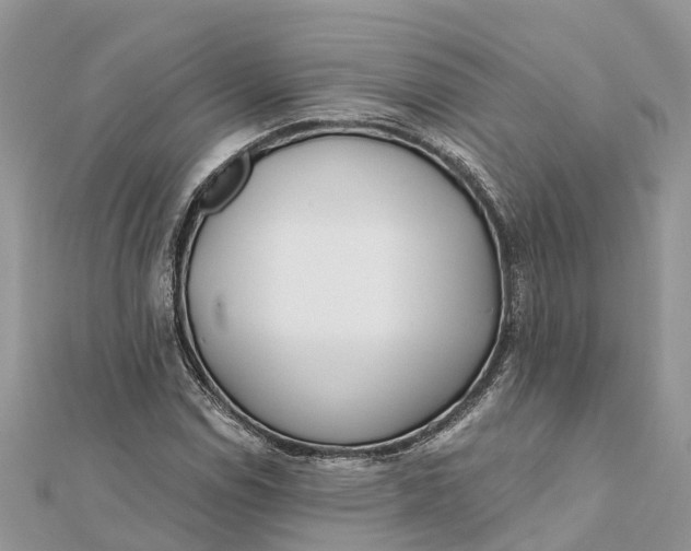 X0000112181114200908281355