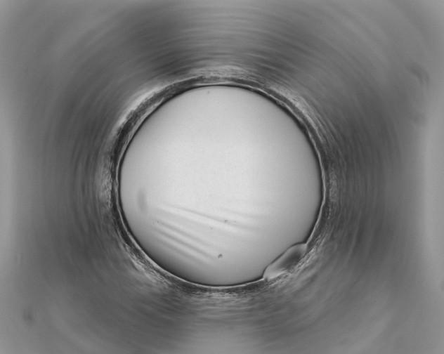 X0000112181115200908281355