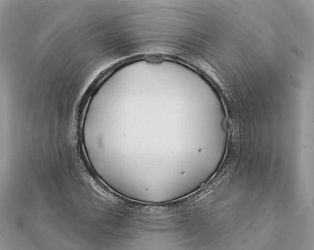 X0000112181116200908281355