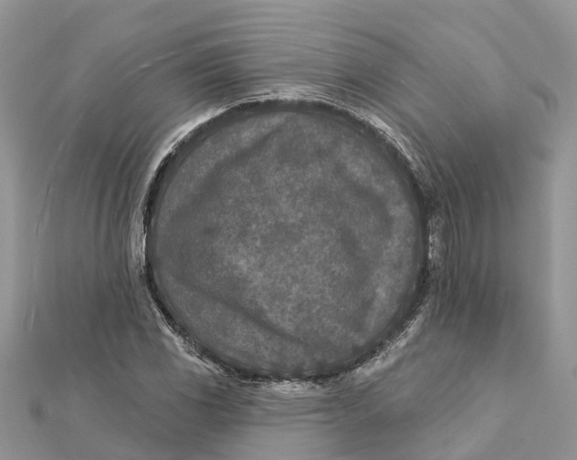 X0000112181117200908281355