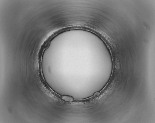 X0000112181118200908281356