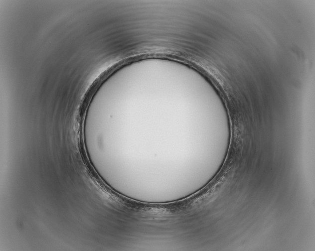 X0000112181119200908281356