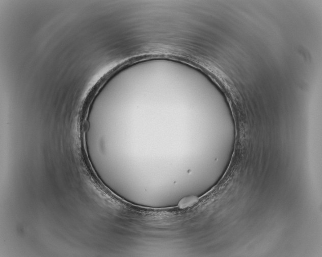 X0000112181120200908281356