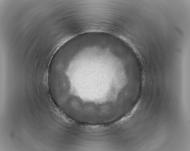 X0000112181121200908281356