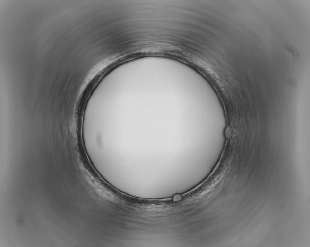 X0000112181122200908281356