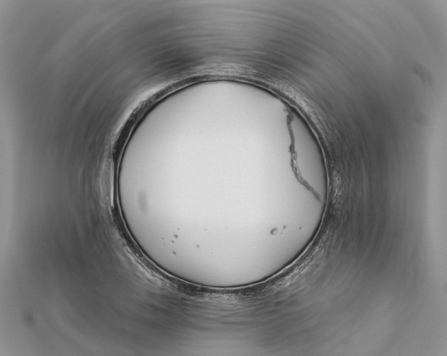 X0000112181123200908281356