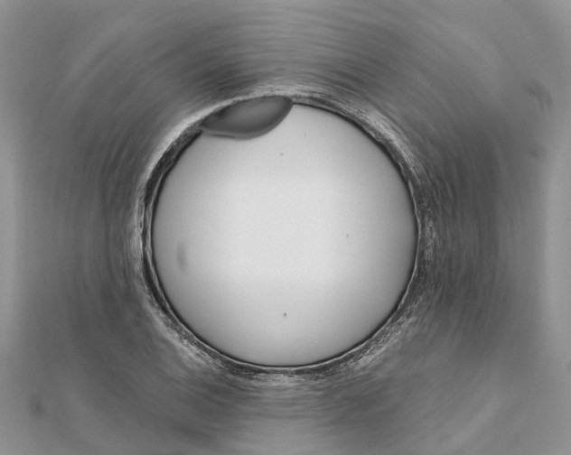 X0000112181124200908281356