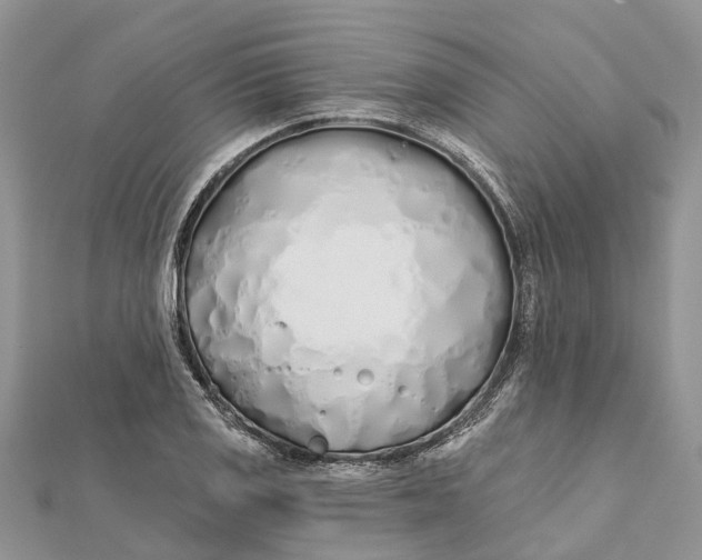 X0000112181125200908281356