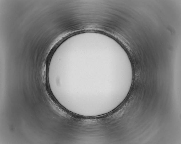 X0000112181126200908281356