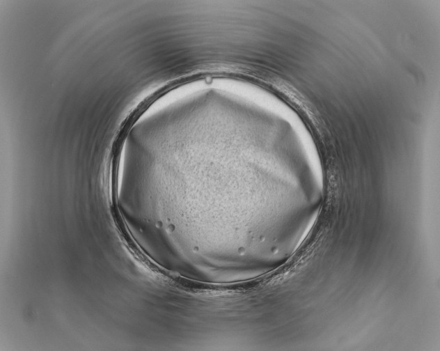 X0000112181127200908281356