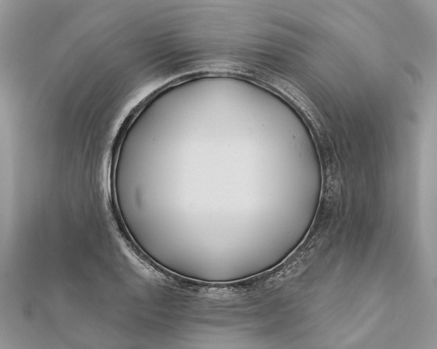 X0000112181128200908281356