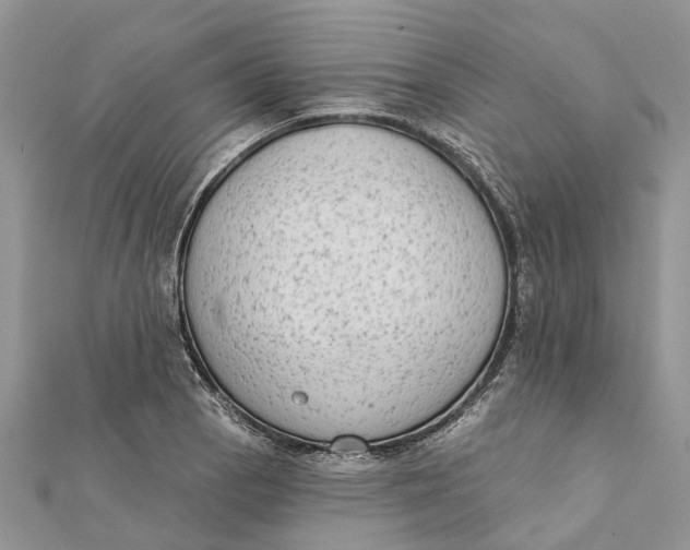 X0000112181129200908281356