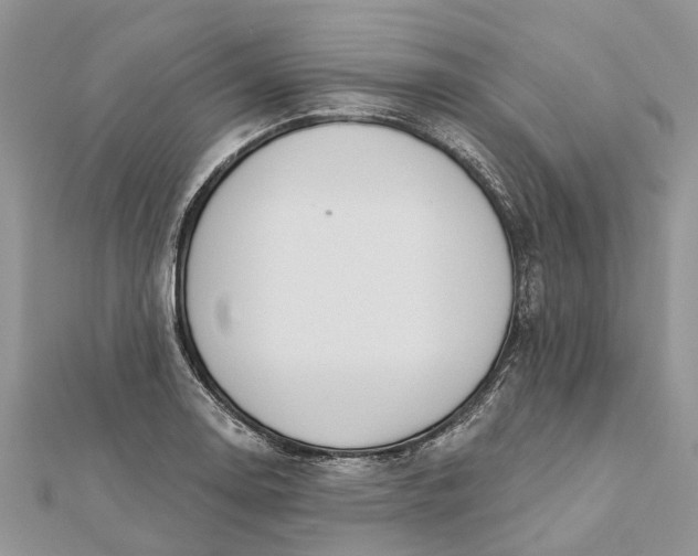 X0000112181130200908281356