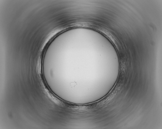 X0000112181131200908281356