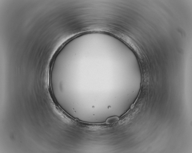 X0000112181132200908281356