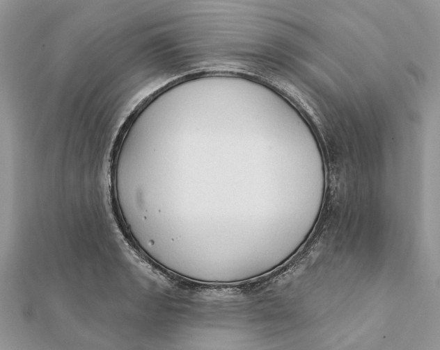 X0000112181133200908281356