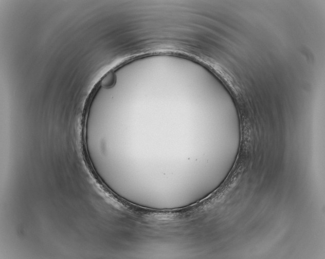 X0000112181134200908281356