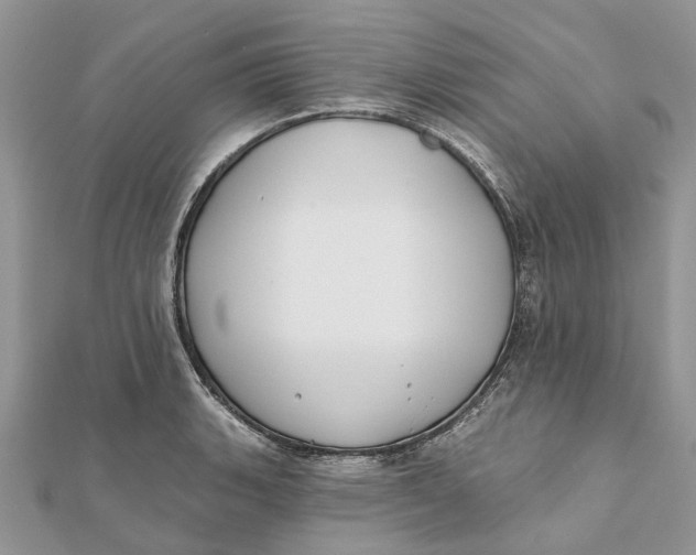 X0000112181135200908281356