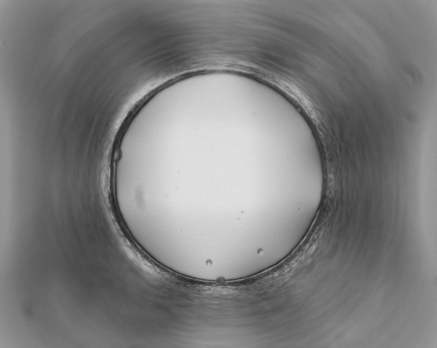 X0000112181136200908281356