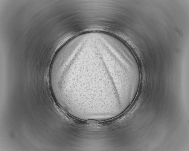 X0000112181137200908281356