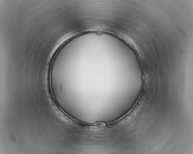 X0000112181138200908281356