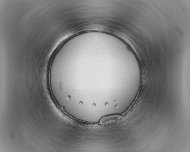 X0000112181139200908281356