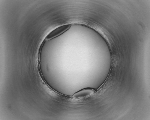 X0000112181140200908281356