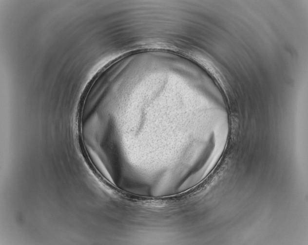 X0000112181141200908281356