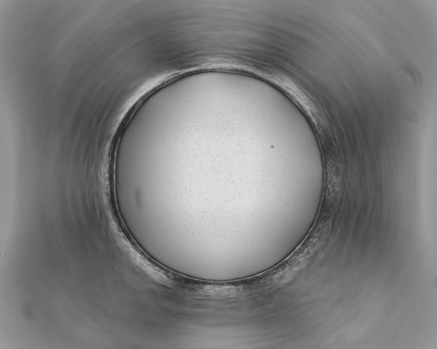 X0000112181142200908281356