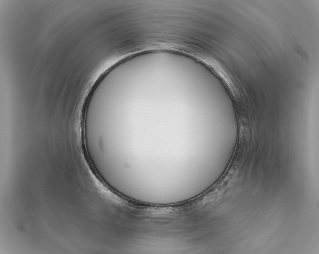 X0000112181143200908281356