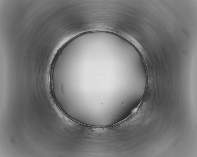 X0000112181144200908281356