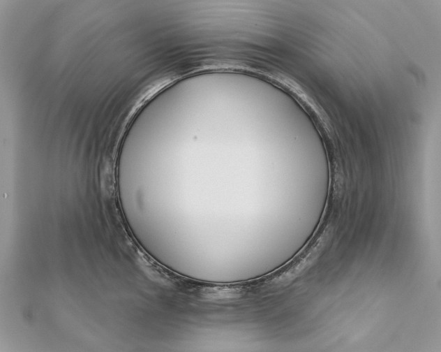 X0000112181145200908281356