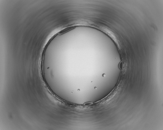 X0000112181146200908281356